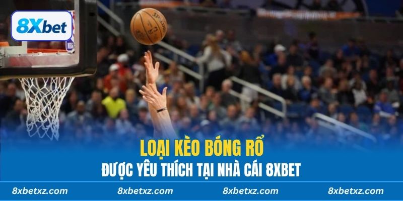 Loại kèo bóng rổ được yêu thích tại nhà cái 8xbet