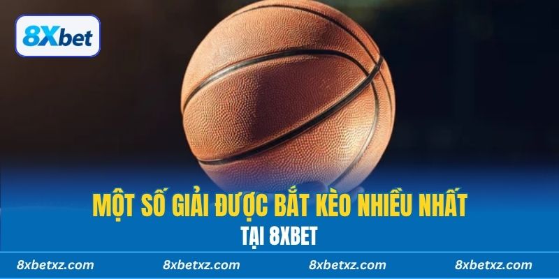 Một số giải được bắt kèo nhiều nhất tại 8xbet