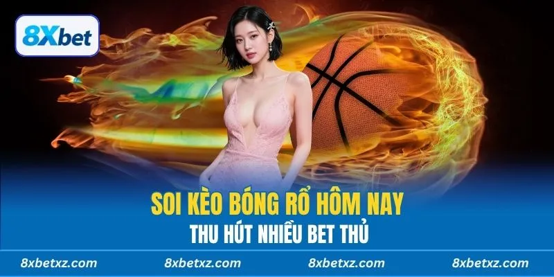 Soi kèo bóng rổ hôm nay 8xbet thu hút nhiều bet thủ