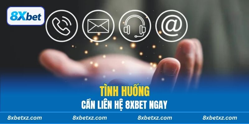 Tình huống cần liên hệ 8xbet ngay