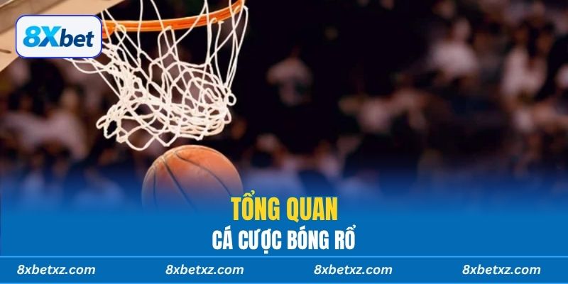 Tổng quan cá cược bóng rổ